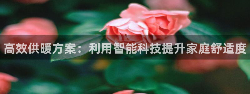 LV国际系统：高效供暖方案：利用智能科技提升家庭舒适度
